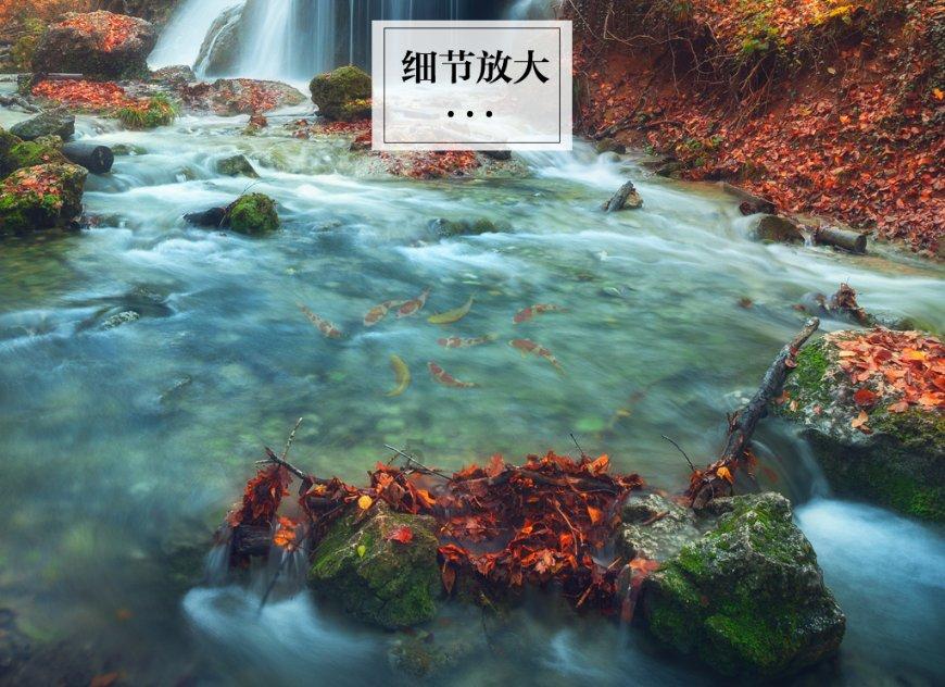 两会时间 | 升腾“烟火气”  释放消费新动能